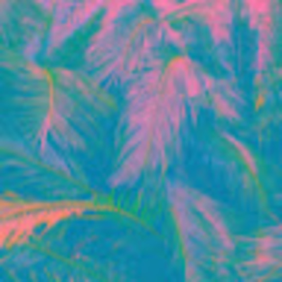 Meet your Posher, Emily - Picture 1 of 1